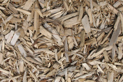 biomass boilers Horn Ash
